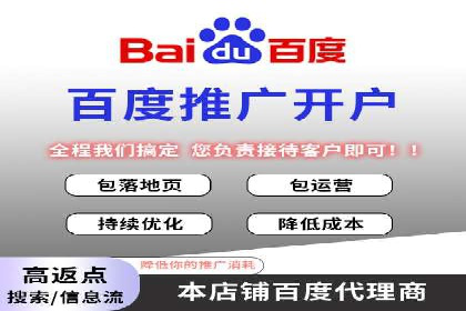 某电商平台的SEM推广策略全解析